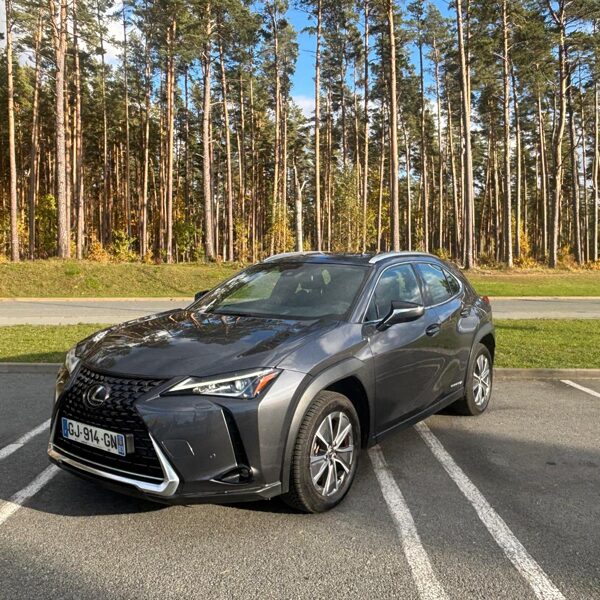 elektroauto Lexus UX 300e!